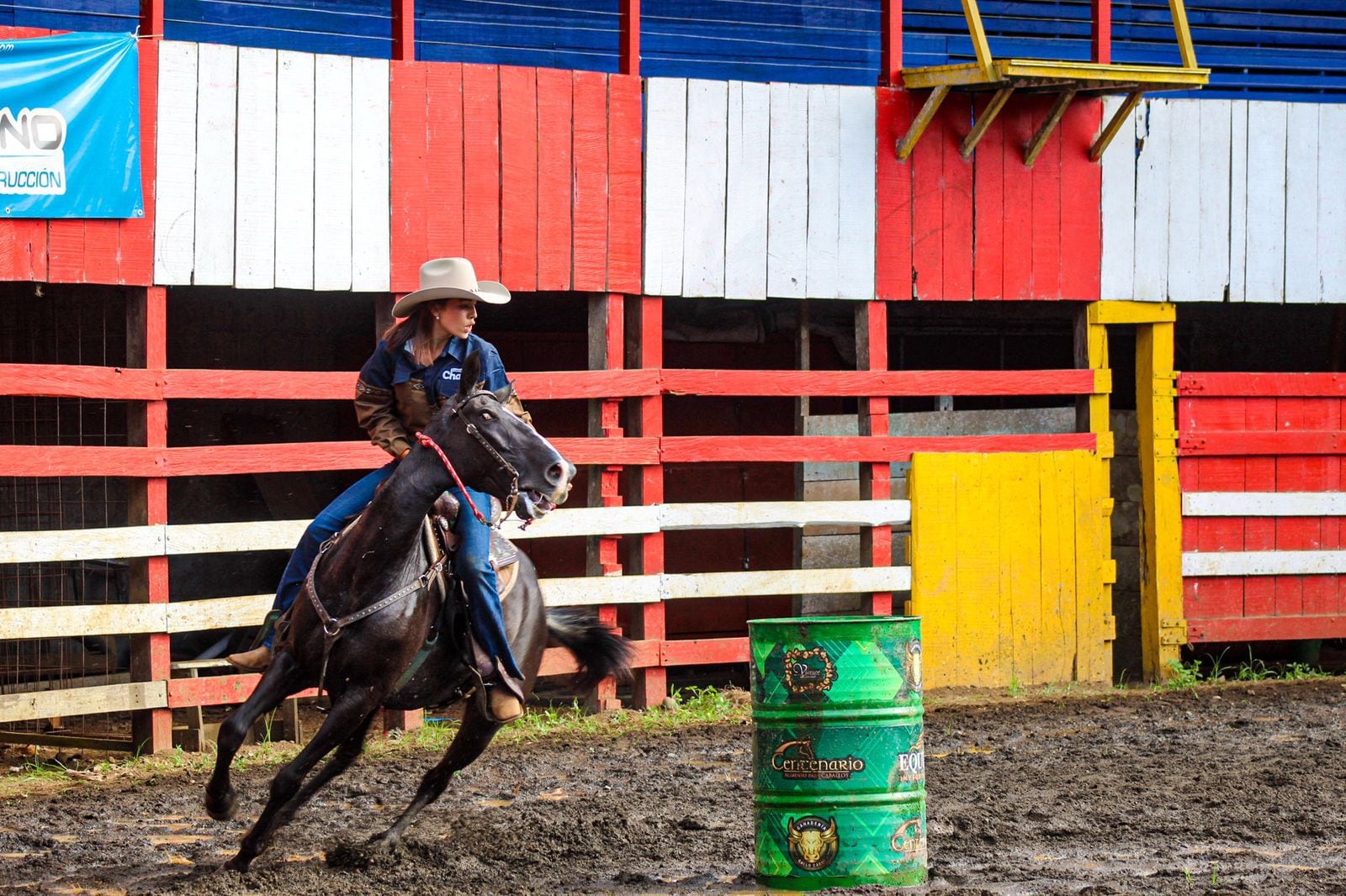 Morena y es una yegua criolla costarricense que desde hace siete años se convirtió en el centro de la vida de María Angelly García Chacón, una joven sancarleña de 19 años quien ahora no imagina su mundo sin ella.