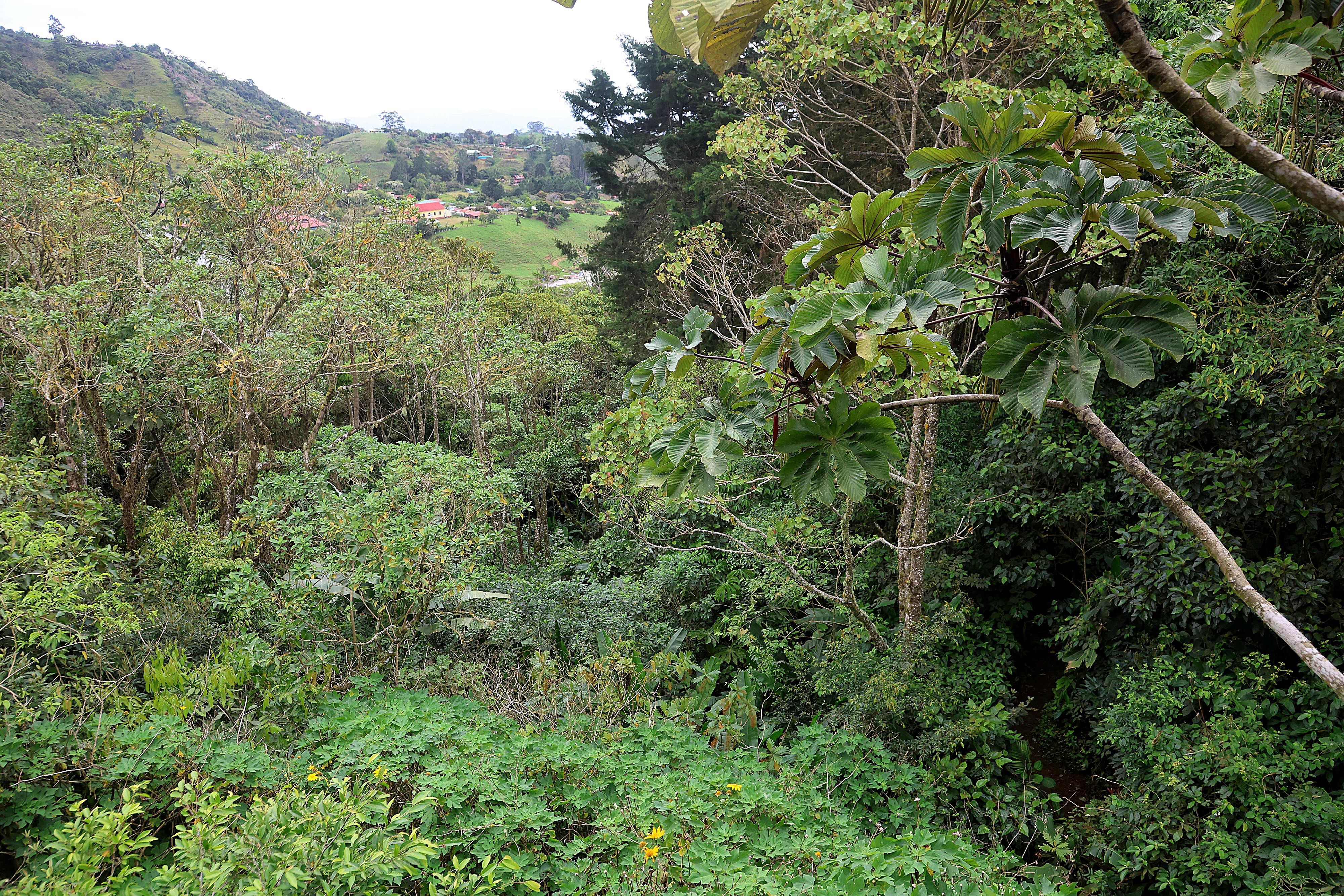 Casa Tucán Glamping