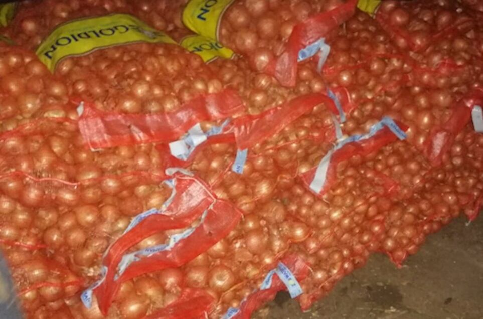 Policía decomisa cinco toneladas de cebollas que fueron introducidas al país de forma ilegal. Foto MSP.