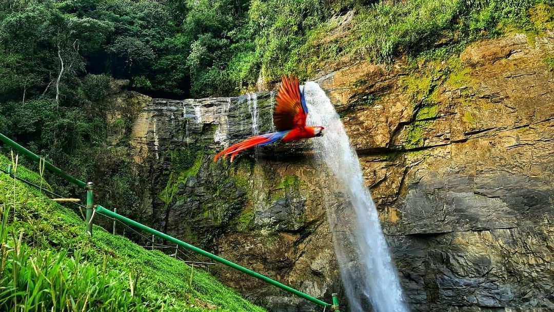 Catarata Eco Chontales