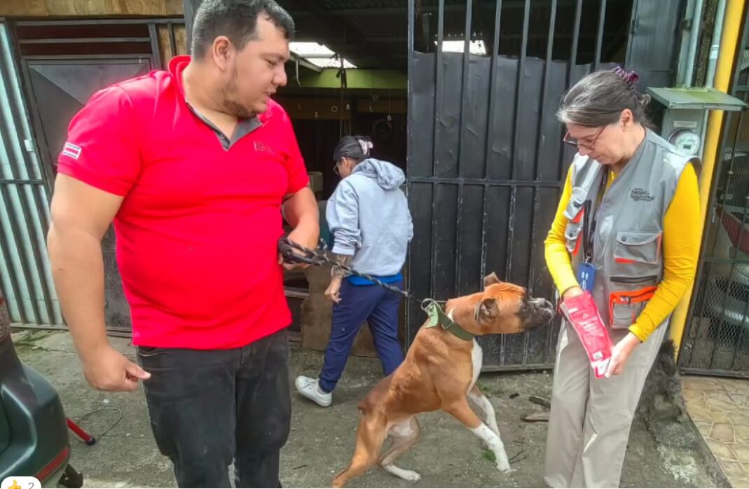 Los animales tenían dos semanas de estar abandonados en una vivienda. Foto: MSP