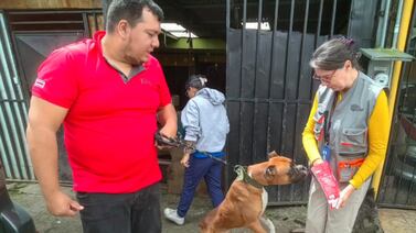 Policías rescataron a animalitos que tenían en terribles condiciones