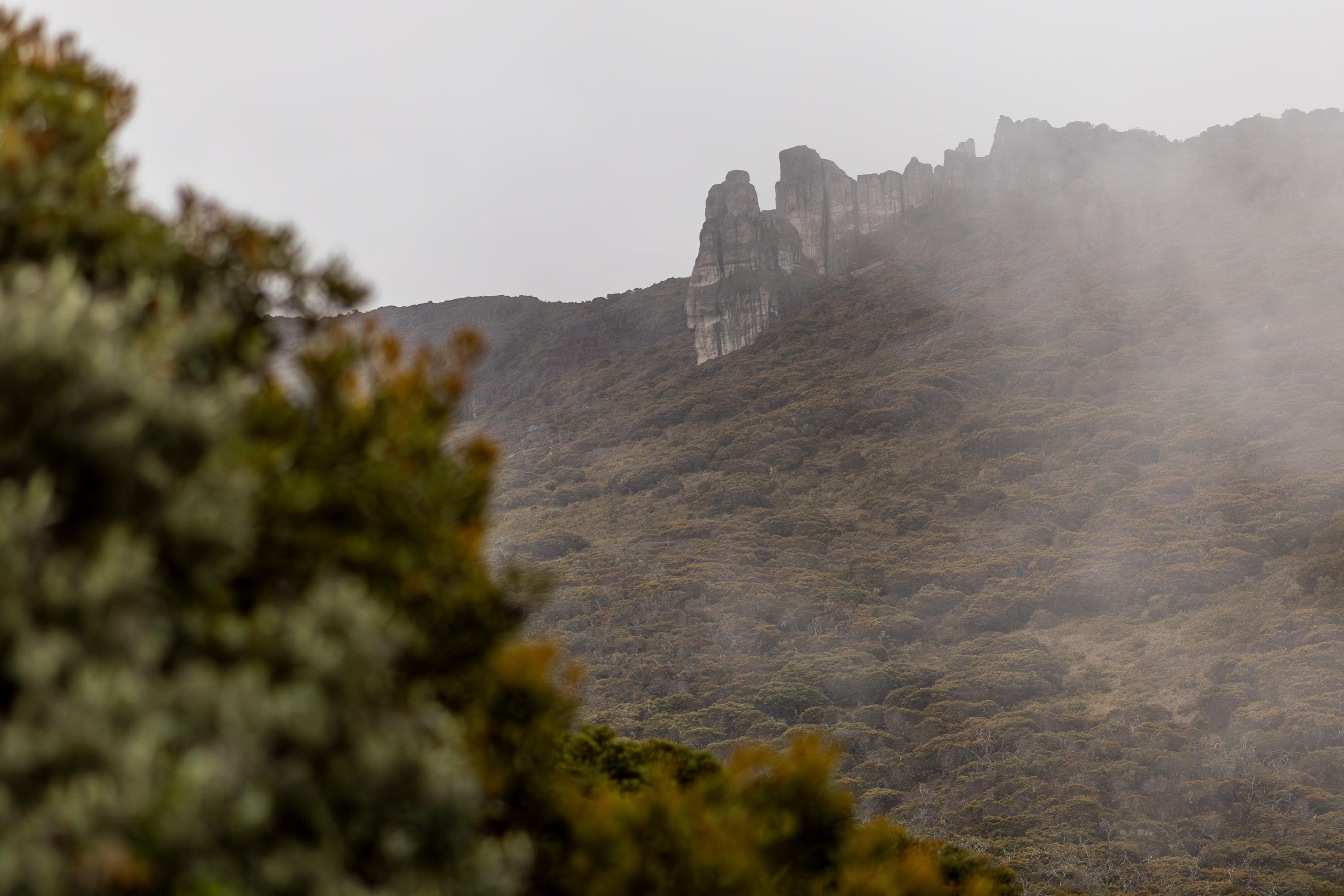 04/09/2024, San José, Cerro Chirripó, gira de La Teja a la cima del Cerro Chirripó, para explicar como es esa caminada hasta la cima y todo el proceso que hay que hacer para entrar al parque y recibir la atención en el albergue.