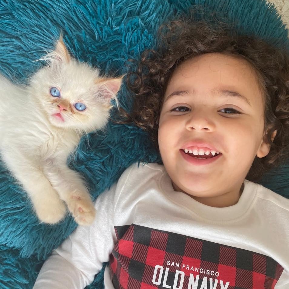 En una hogar de Patalillo de Coronado, dos gatos se han robado el corazón de toda una familia. Son Tati y Otto, los peluditos que llegaron para llenar el hogar de amor, travesuras y compañía. Su mamá humana, Yesiney Espinoza Larrea, de 30 años, asegura que estos gatitos cambiaron su vida y la de su hijo Khaleb, de 7 años.