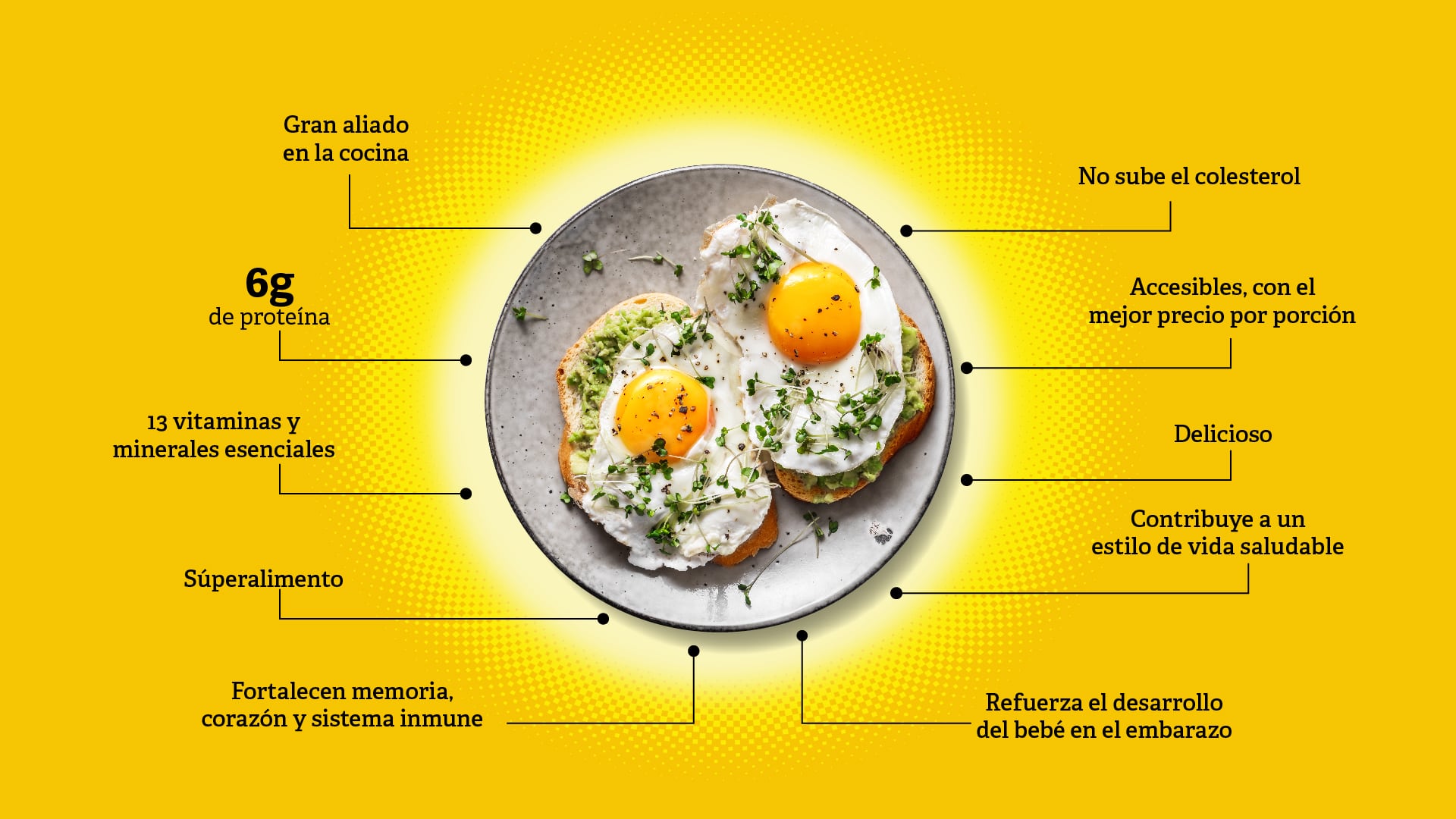 Este viernes 13 de octubre, desde las 7:30 a.m., Costa Rica se unió a la celebración del Día Mundial del Huevo 2023 en el Parque Juan Santamaría, Alajuela, en un evento organizado anualmente por la Cámara Nacional de Avicultores (CANAVI).