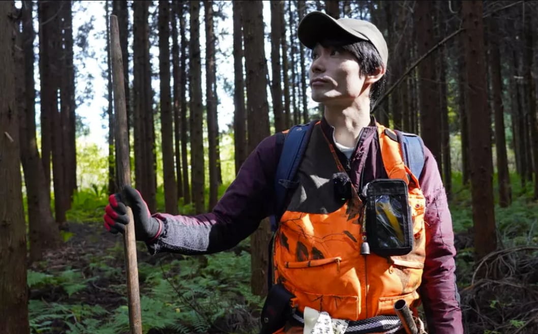 Ataques de osos en Japón