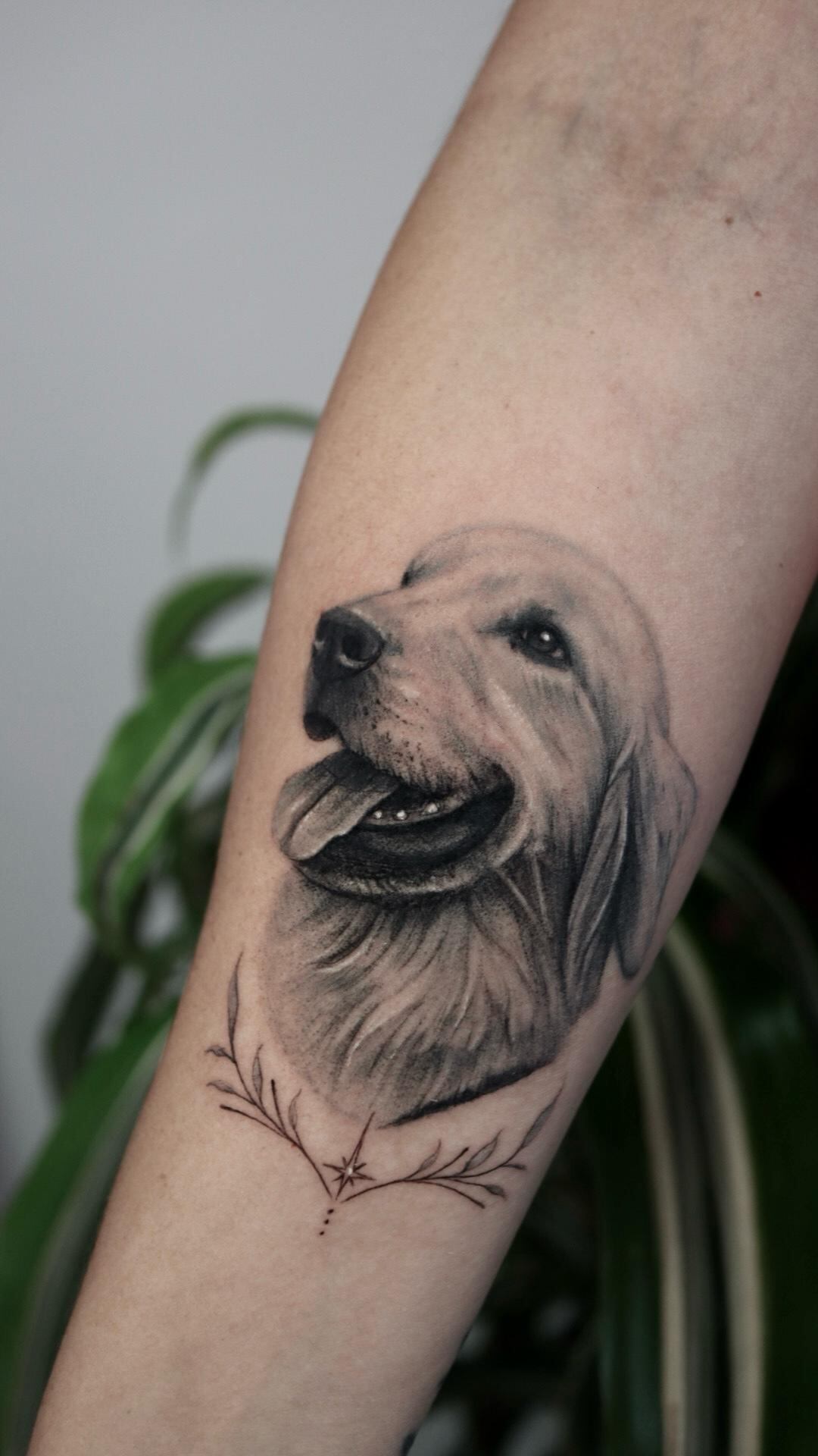 Gipzy Montoya y su nuevo gran amor Moana