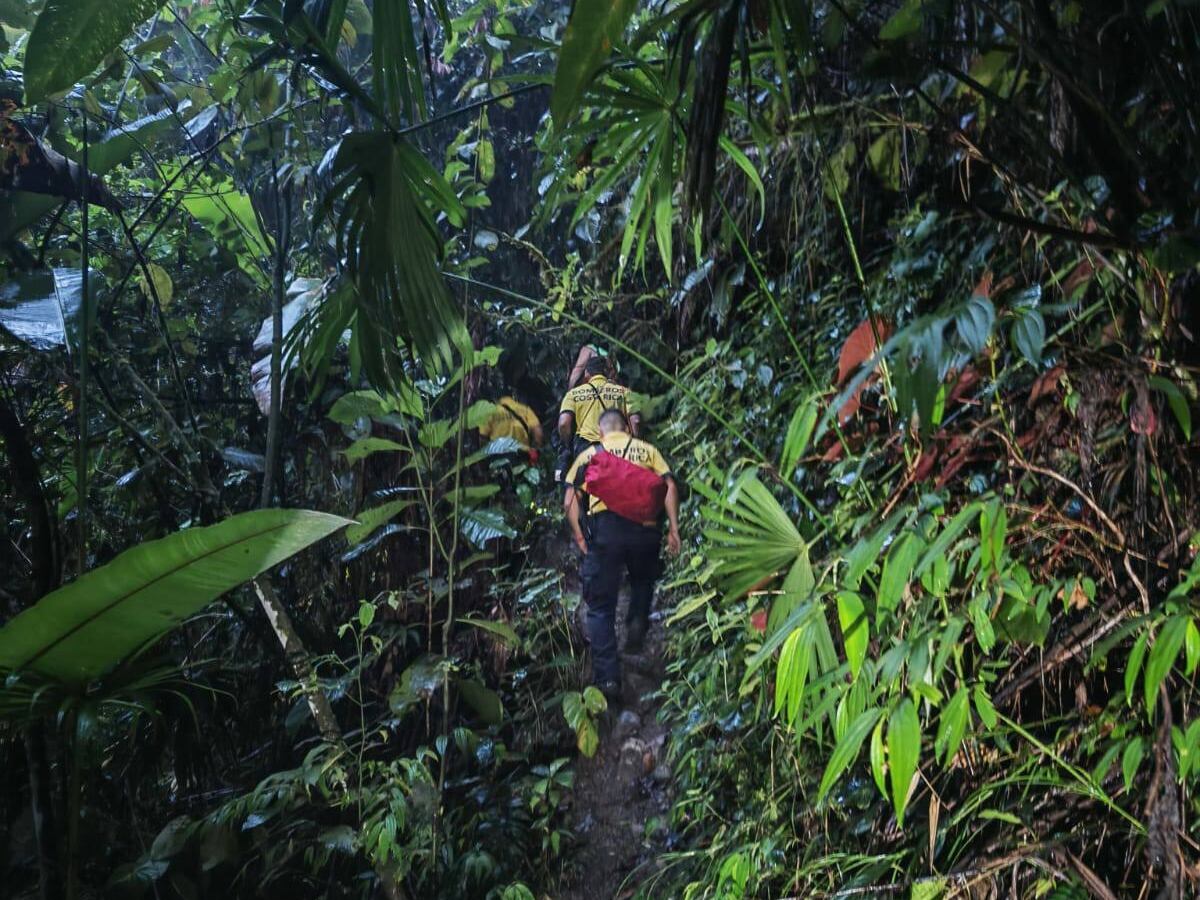 Bomberos rescatan a cachorro que cayó a barranco en Coto Brus. Foto Bomberos.