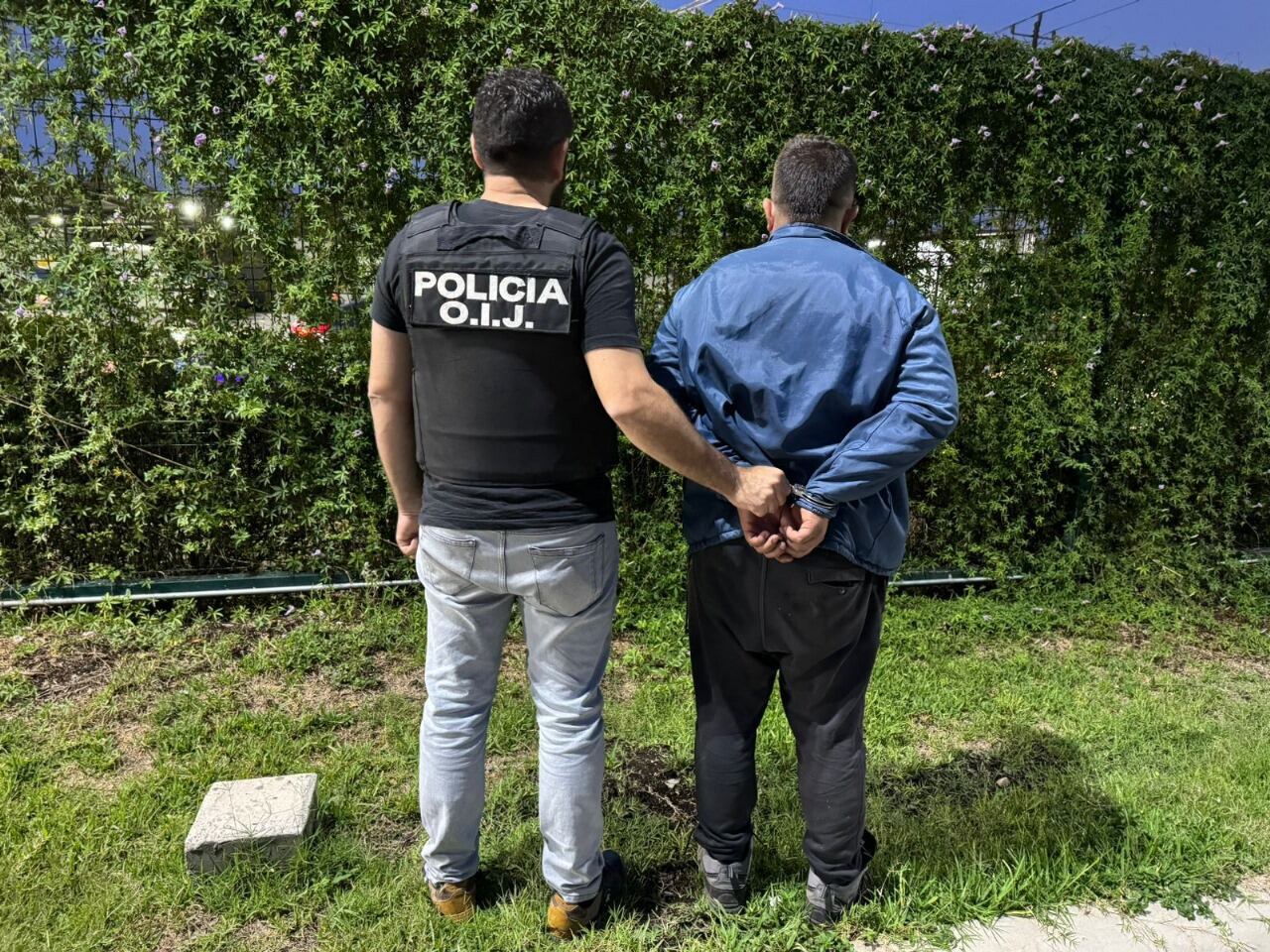 Detienen a sospechoso de comerciar aves exóticas en redes sociales.