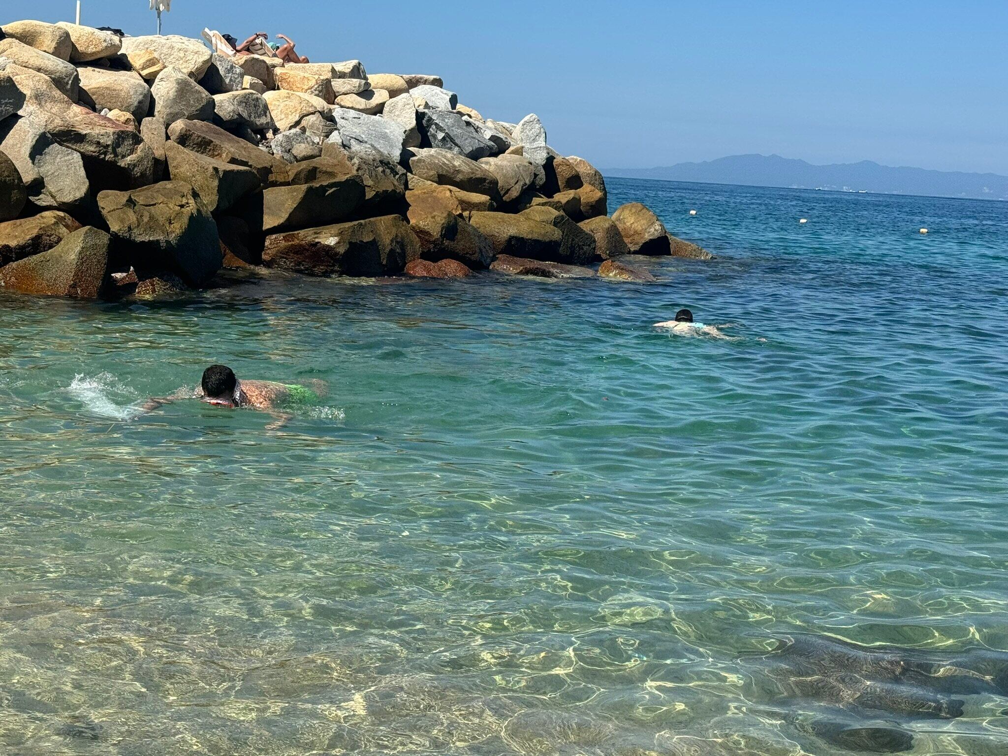 Pececitos de colores bailan cerca de la orilla en una mágica playa de Puerto Vallarta.