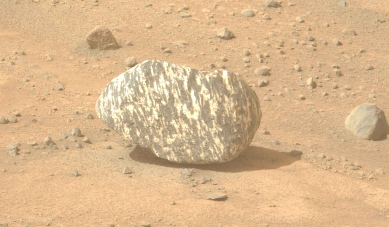 Una roca con rayas blancas y negras descubierta por el rover Perseverance podría cambiar lo que se sabe sobre la geología de Marte.