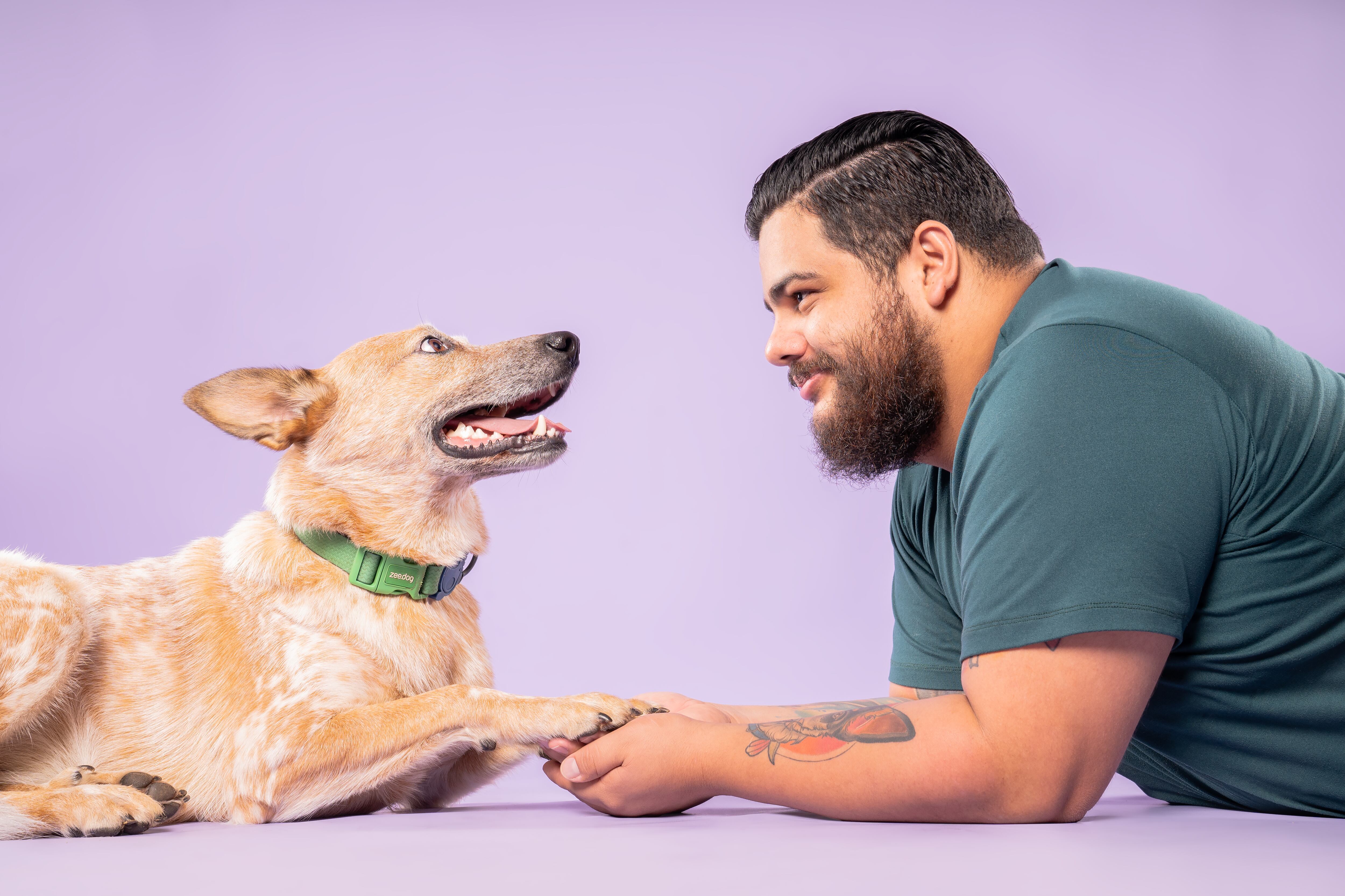 Logan, Luna y toda su manana son una verdadera sensación en redes sociales.