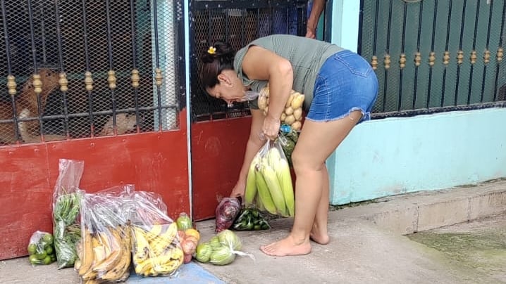 Don Roger Rojas vendió periódicos en las esquinas, le hizo a la construcción y hoy recorre diferentes zonas del país llevando verduras con el perifoneo más popular del mercado: "¡Llegó, llegó, llegó Renato... el que compra caro y vende barato!”