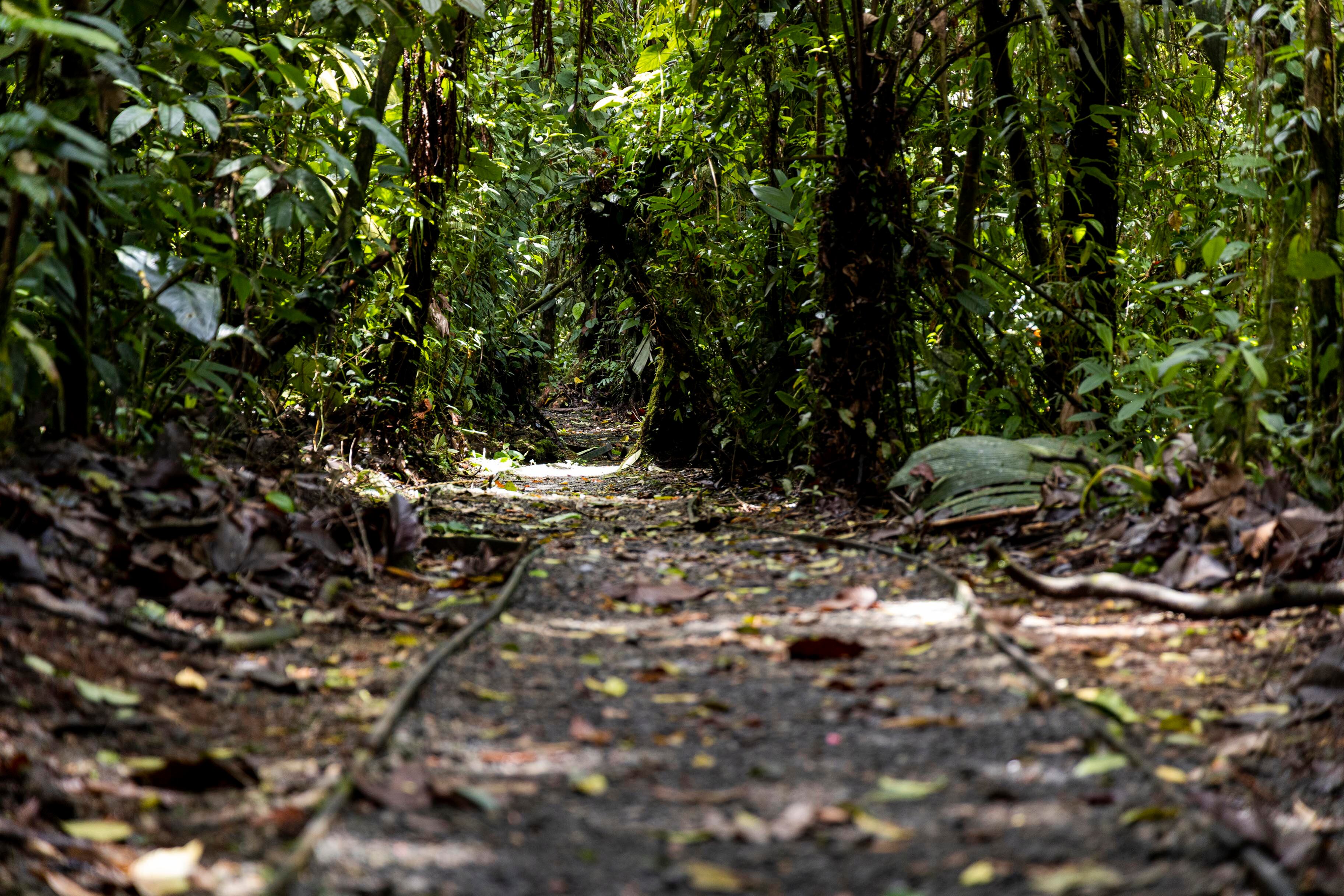 Parques Nacionales Costa Rica