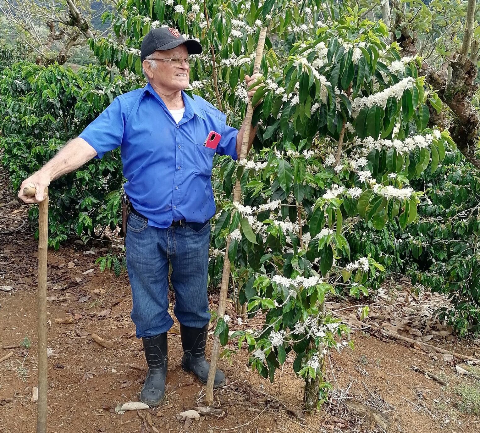 Edilio Agüero Ureña,. señor de 79 años que falleció en accidente de tránsito en Dota. Foto tomada de Facebook.