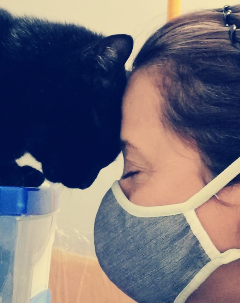 La veterinaria, María Alejandra Gómez Murillo, de la clínica veterinaria Albavets, en Santa Ana, ama a Sierra, una de los gatos que tiene