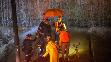 Rescatistas de animales se movilizaron por un perro que resultó ser una estatua