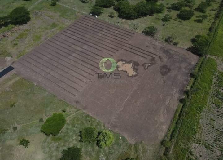 complejo deporitvo puntarenas fc