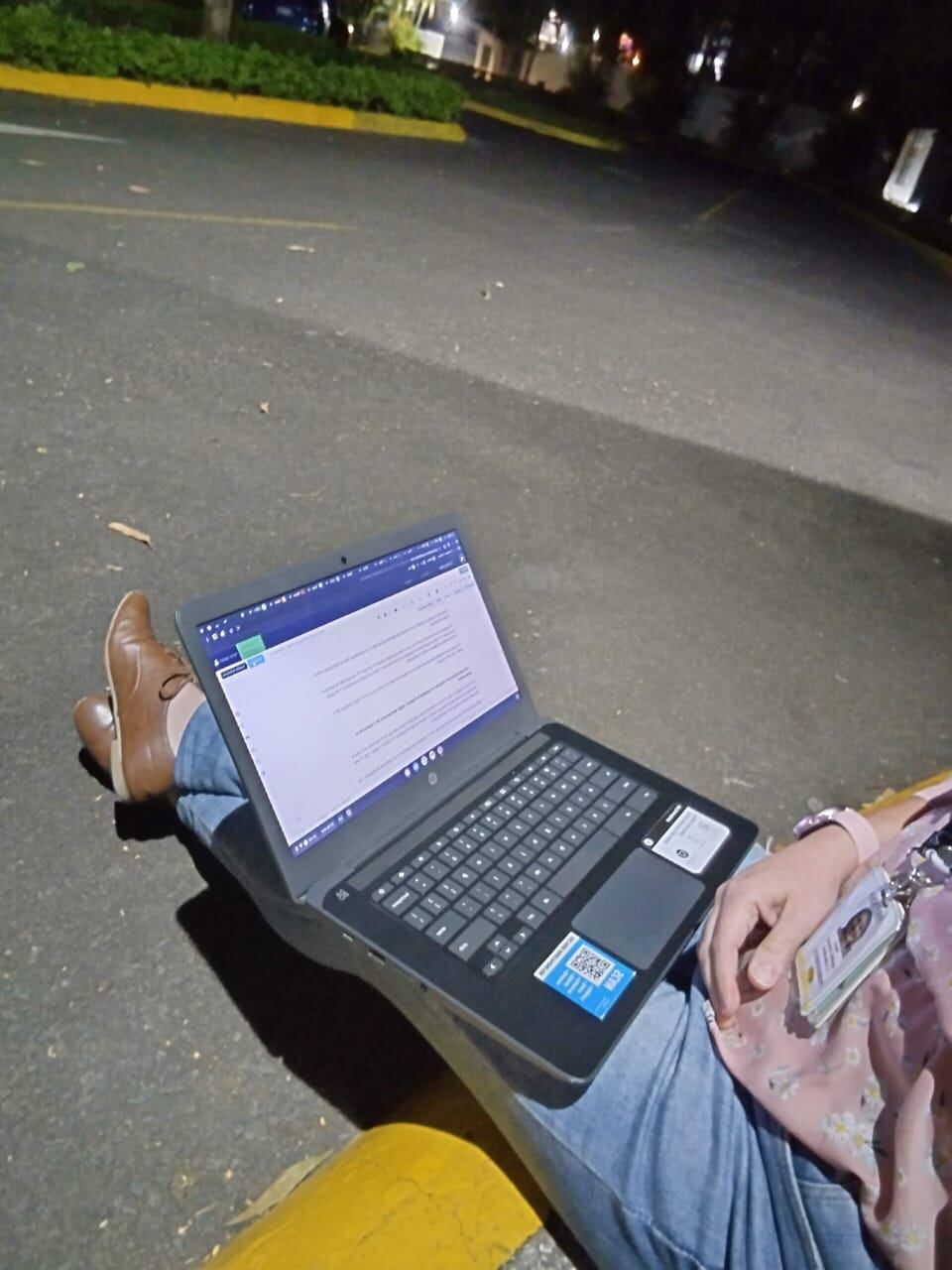 El desplante del colega no me impidió terminar mi trabajo.