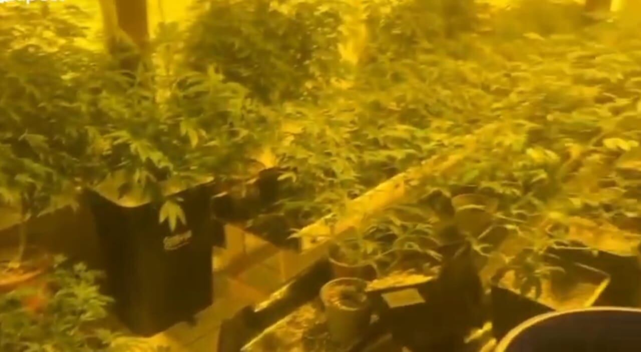 Un hombre apellidado Trejos fue detenido por la PCD.