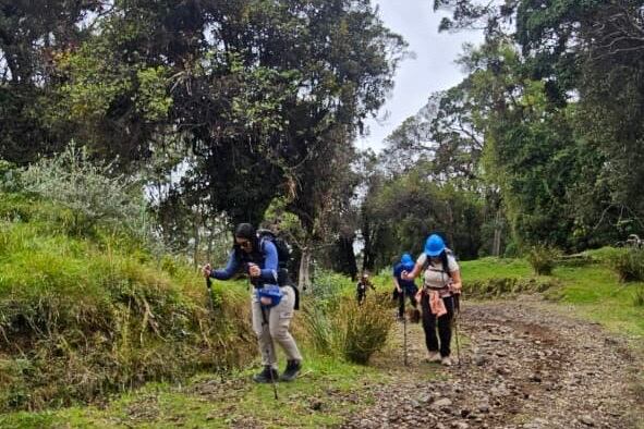 Guía revela qué señales no se deben ignorar si está haciendo senderismo.