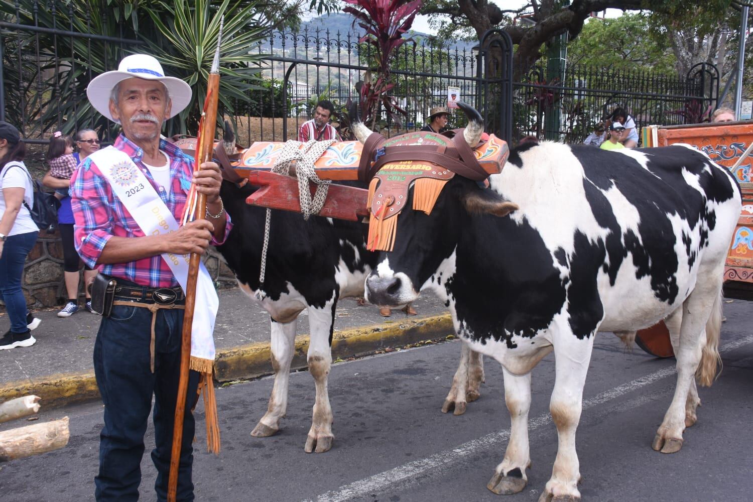 12/3/23 Día del boyero Nacional edición 40 Escazú. Foto de Jorge Castillo