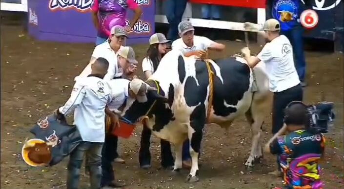 Toro manso sorprendió en Palmares