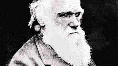 Darwin no solo estudiaba animales… ¡también se los comía! La curiosa historia del “Club del Glotón”