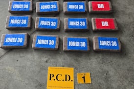 Decomisan 50 kilos de cocaína escondidos en contenedores rumbo a Europa