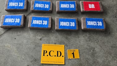 Decomisan 50 kilos de cocaína escondidos en contenedores rumbo a Europa