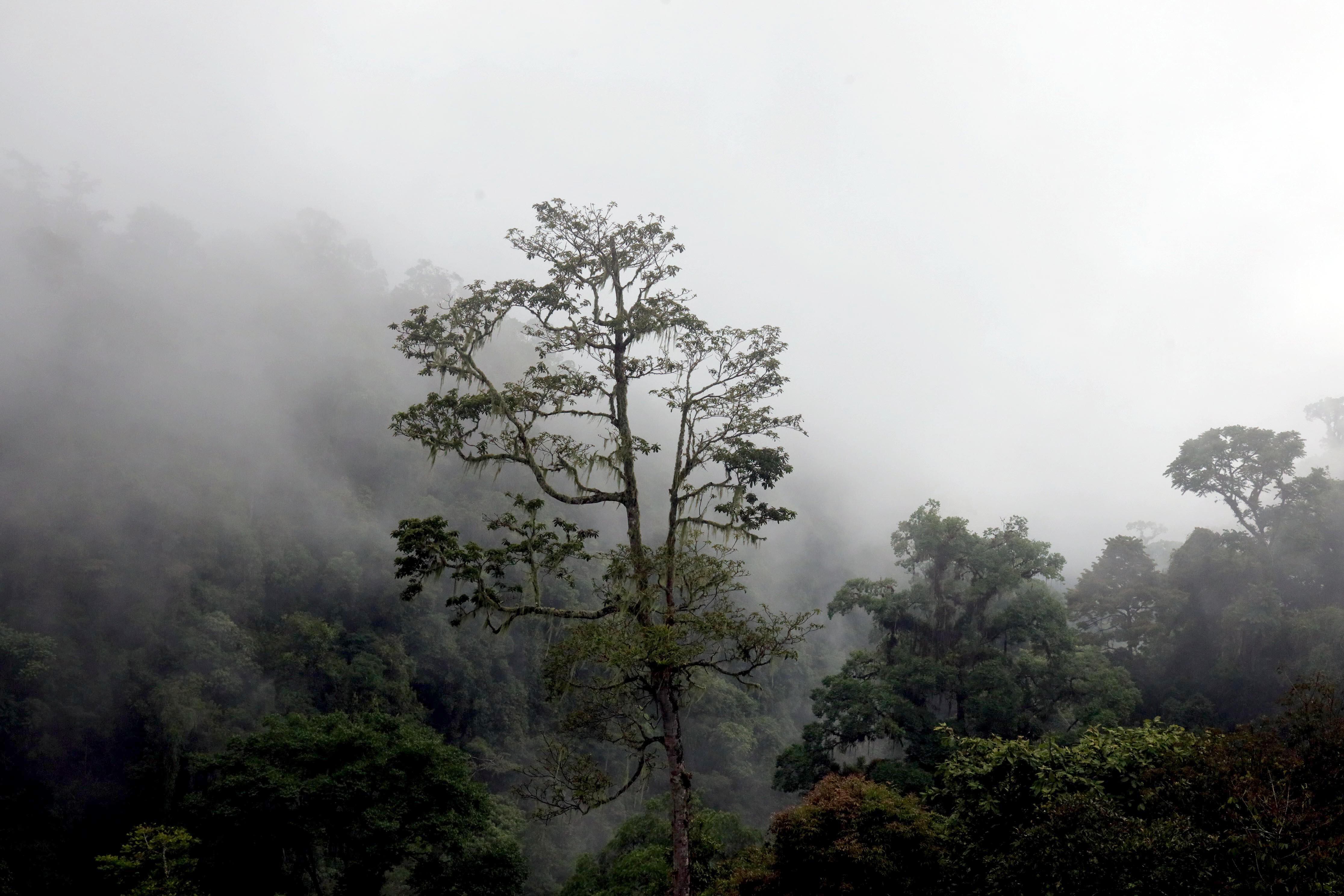 Catarata la Muralla Turrialba
