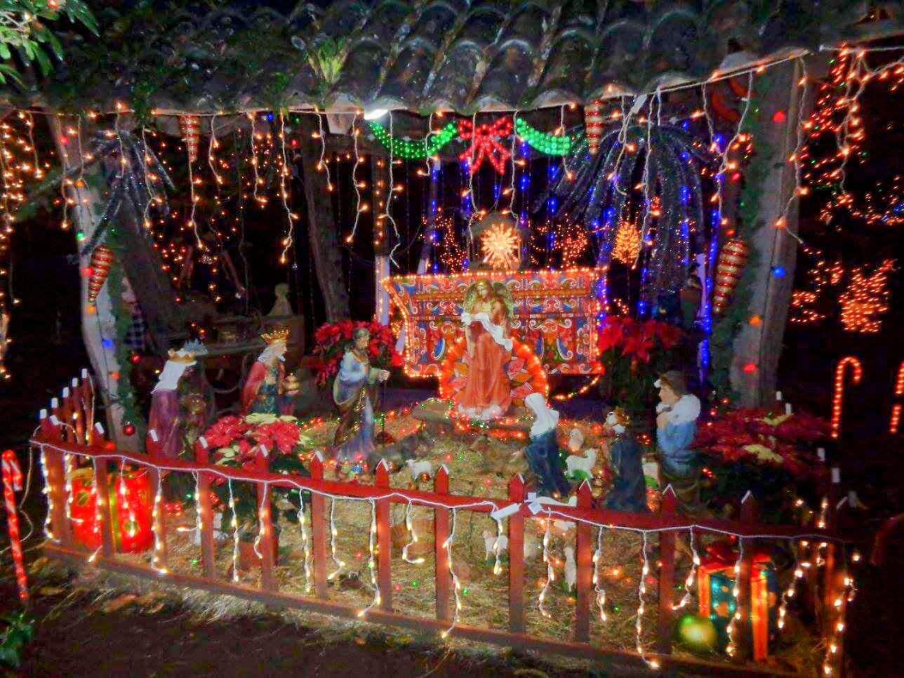 Amor y pasión por la Navidad se convirtieron en un escape para joven con autismo.