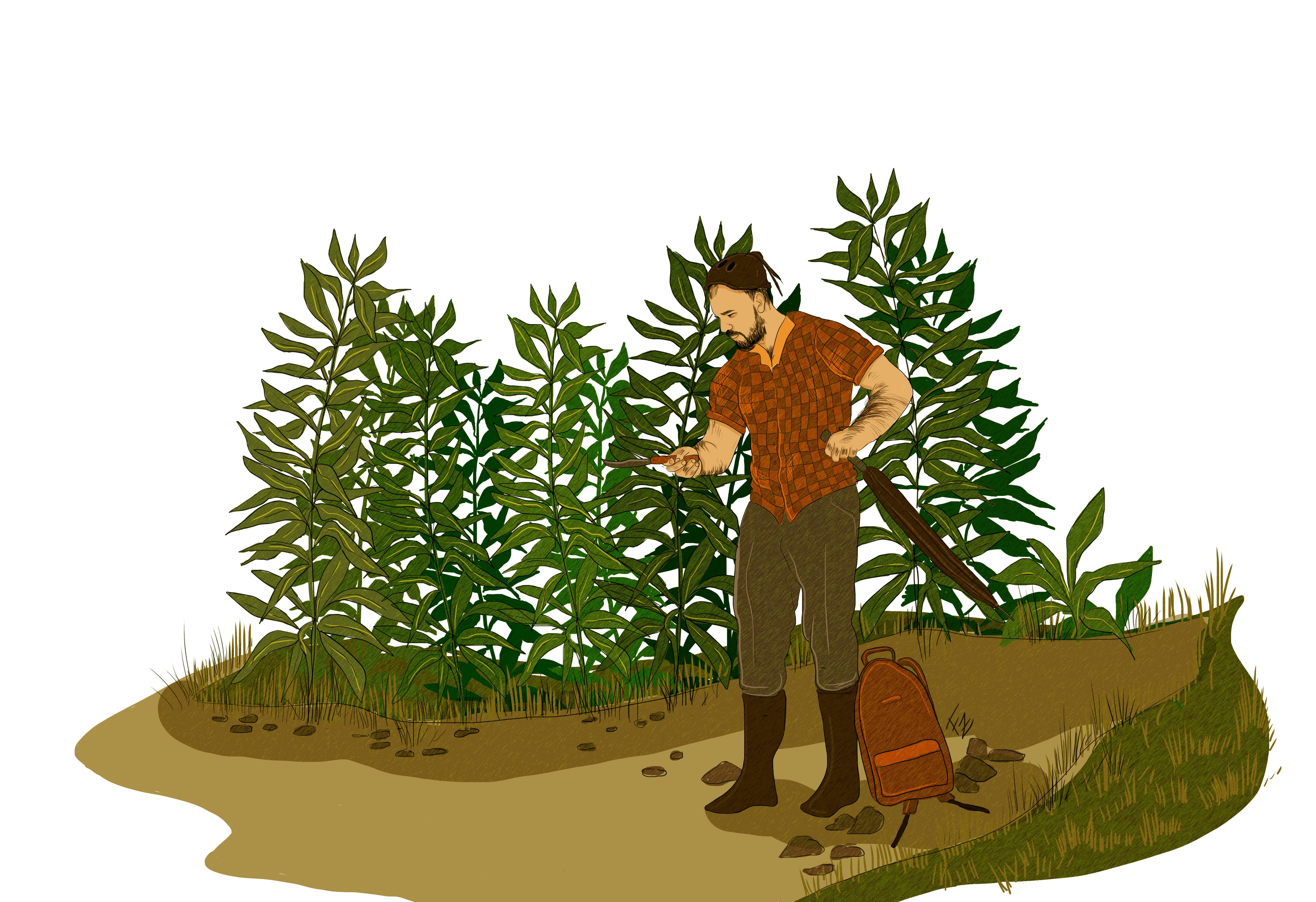 Ilustración para Novelón sobre violador en serie. Ilustración hecha por Francela Zamora.