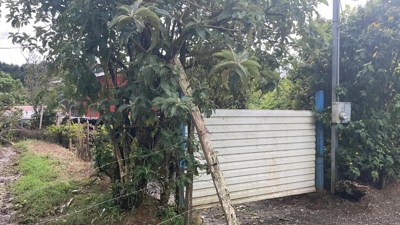 Vecinos de Paola Amador están pendientes de su estado de salud