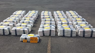 Decomisan cargamento de 812 paquetes cocaína en contenedor con destino a países bajos