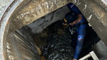 Dentro de una alcantarilla encontraron a un sospechoso de disparar en el hospital de Limón
