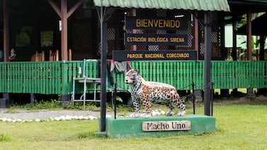 Querido guía turístico Dionisio “Nito” Paniagua no podrá ingresar al Parque Nacional Corcovado y explica por qué