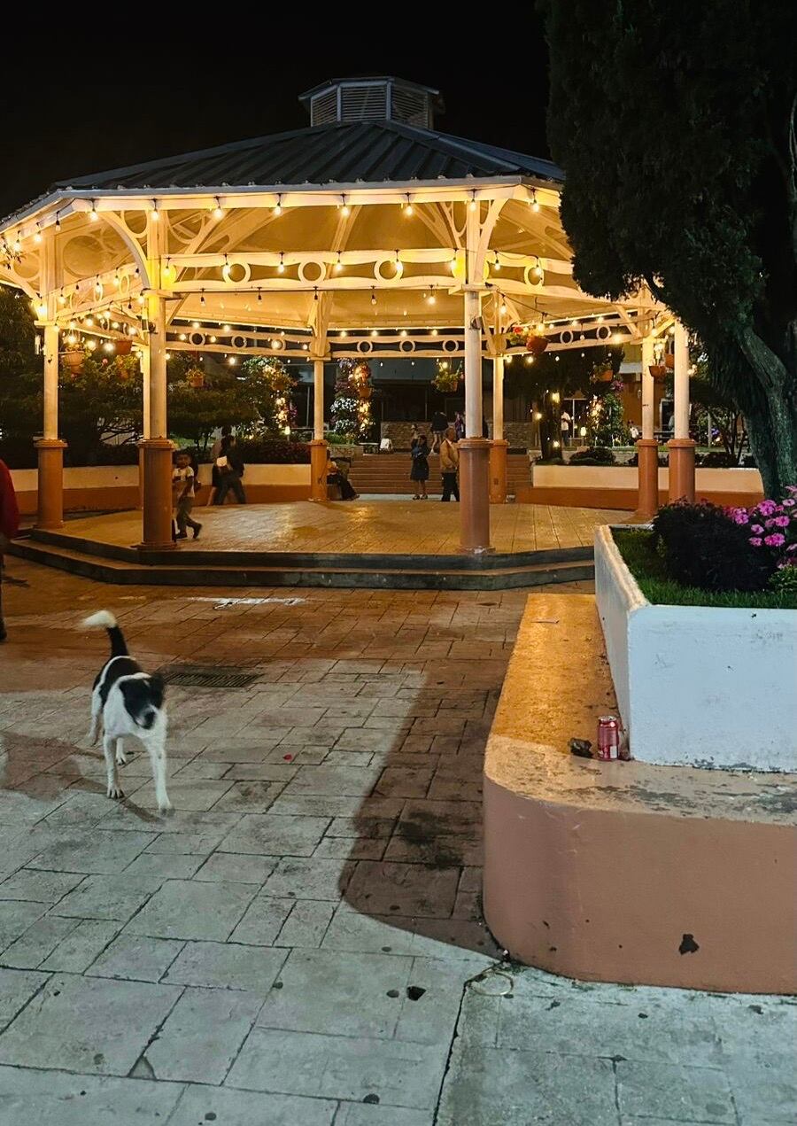 Periodista tica que viajó a Panamá en motocicleta nos contó el motivo de su travesía.