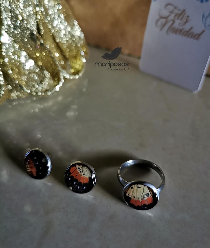 don Danilo Rodríguez y doña Mónica Rodríguez, un matrimonio sarchiceño que de la noche a la mañana tuvo que cerrar lo que fue su fuente de ingresos durante 14 años el Mariposario Sarchí. Ahora hacen joyería con alas de mariposas.