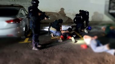 PCD realiza el decomiso más grande de drogas sintéticas en la historia del país