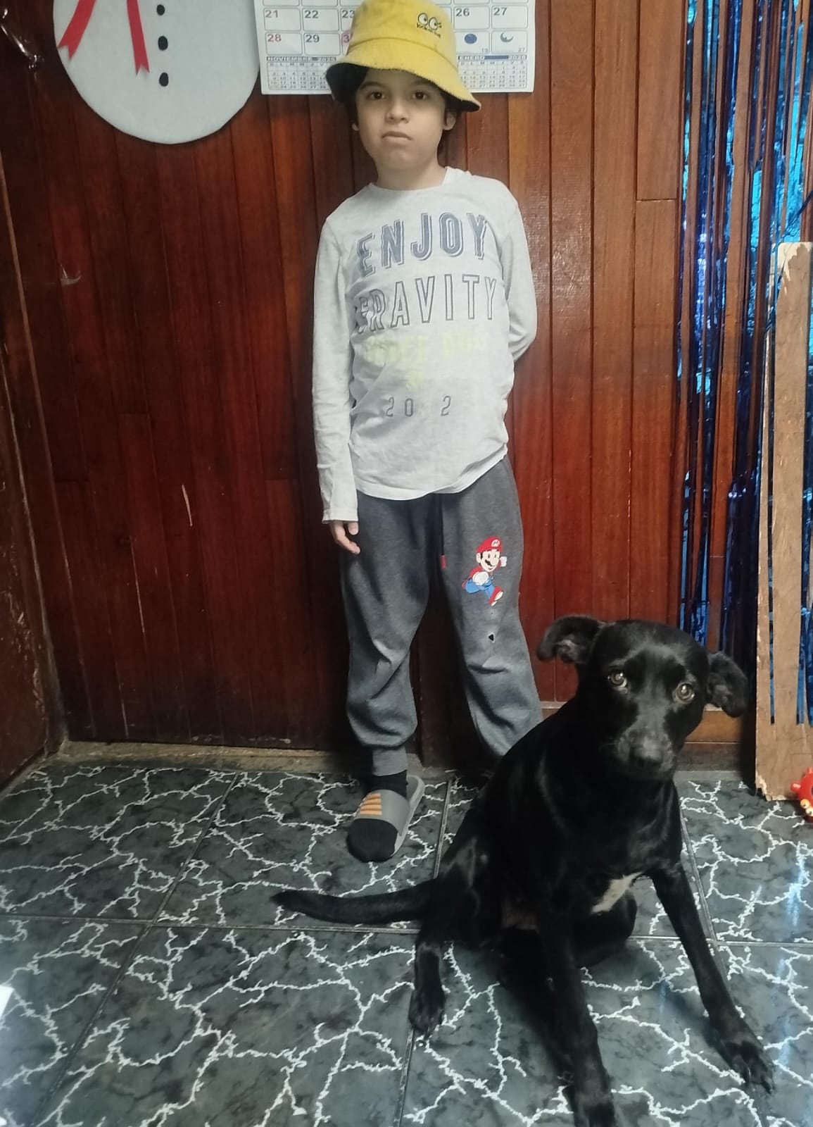 En Llorente de Tibás vive una perrita que parece salida de una historia de milagros. Se llama Venus, es zaguate pura sangre, tiene tres años y es la razón por la que en la casa de doña Francini Villalobos, de 31 años, siempre hay risas. En la foto con su hermano humano, Carlos Daniel de 11 años.