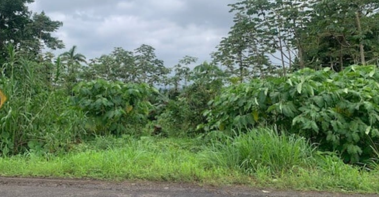 Banco Nacional tiene varias opciones de terreno y vivienda en distintos lugares del país.
