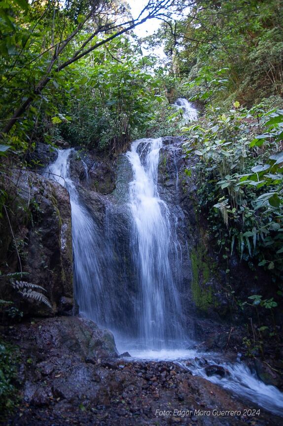 Catarata a una hora de San José es todo un atractivo con sus senderos y frescura.