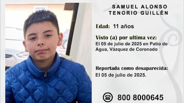 Desapareció un niño de 11 años y su familia pide ayuda para encontrarlo