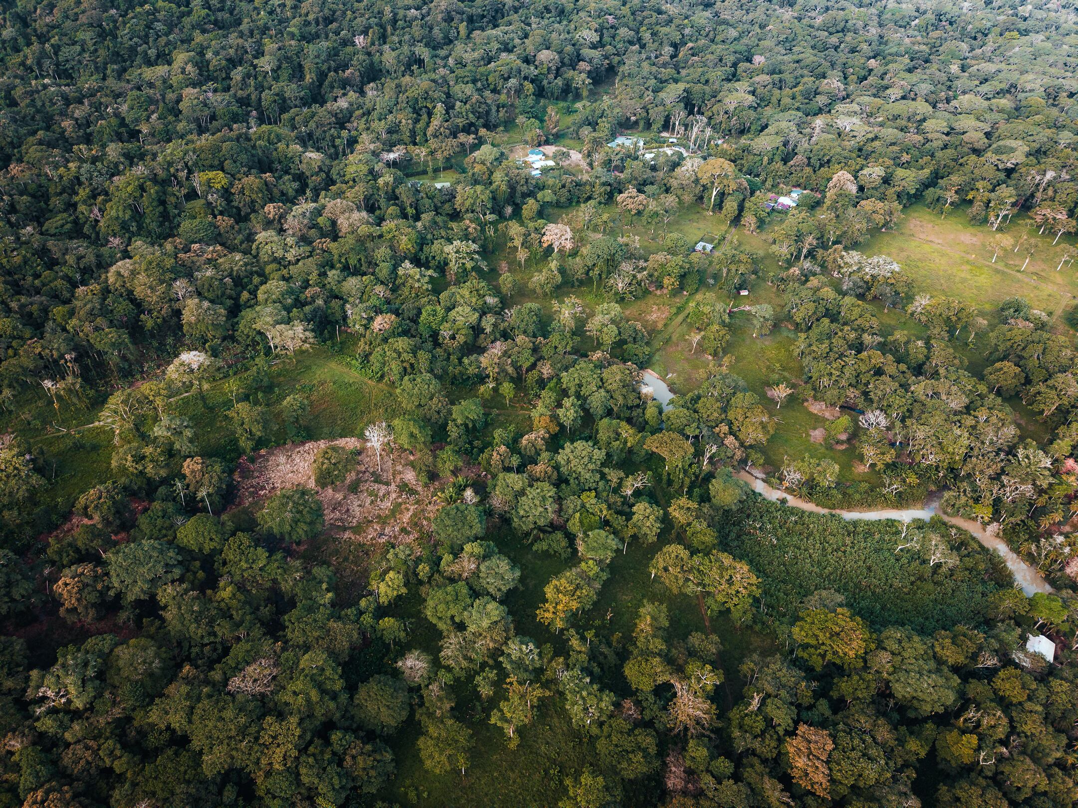 En esta imagen aérea se observa en la esquina inferior izquierda el área talada en una de las dos fincas del empresario Allan Pacheco Dent, en Gandoca-Manzanillo, en el Caribe sur.