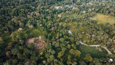 Caso Gandoca-Manzanillo: Fiscalía volverá a solicitar medidas contra imputados