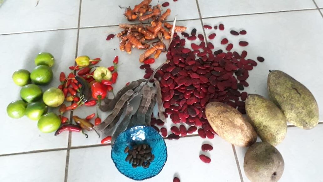 Festival de la semilla criolla