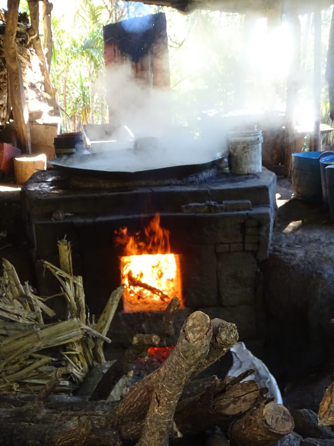 Un trapichero tico de la pura cepa, junto a sus tres hermanos, siguen trabajando en el trapiche que heredaron de su papá, quien lo heredó del suyo. Es un trapiche en Atenas que tiene más de 100 años de funcionar sin parar. Iván, Greivin, Célimo y Berny Alpízar Arce, son los cuatro hermanos que no le aflojan al “Trapiche Don Uriel”.