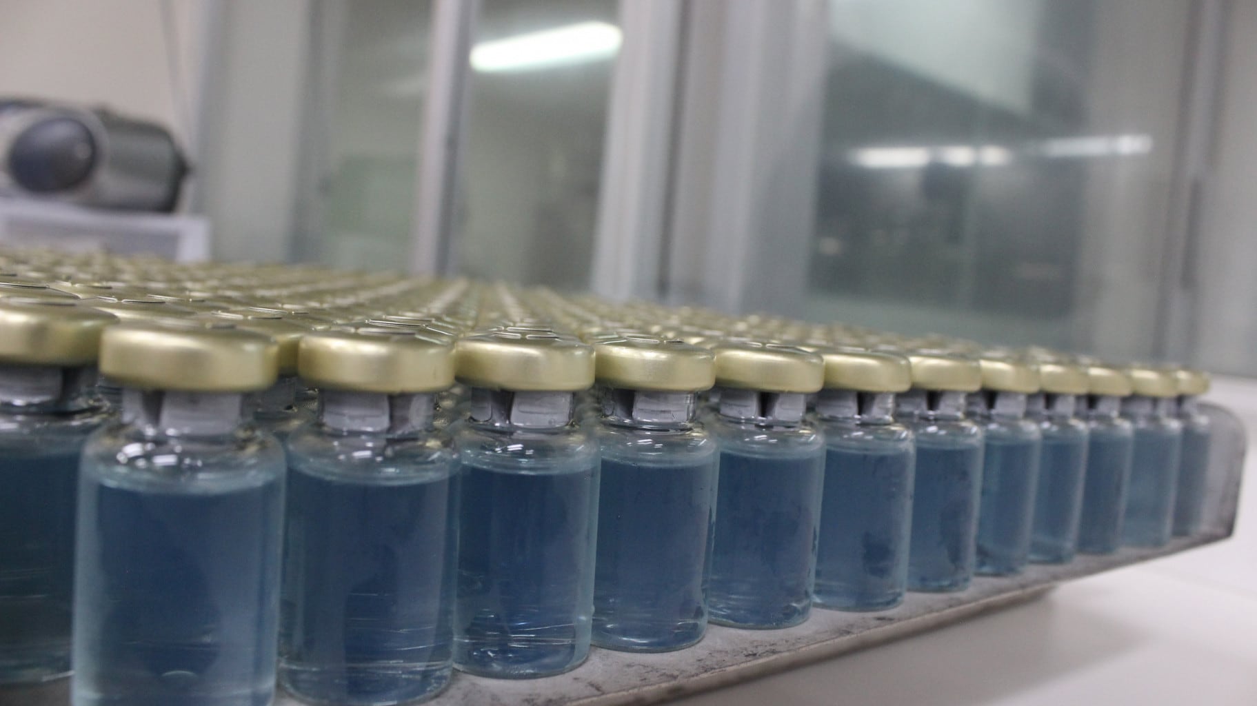 El Instituto Clodomiro Picado de la Universidad de Costa Rica (ICP-UCR) ya envasó con éxito los dos primeros lotes de inmunoglobulinas de caballo con los cuales se pretende tratar a pacientes graves con COVID-19