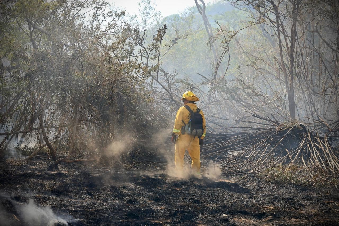 Incendio forestal en el Parque Nacional Palo Verde